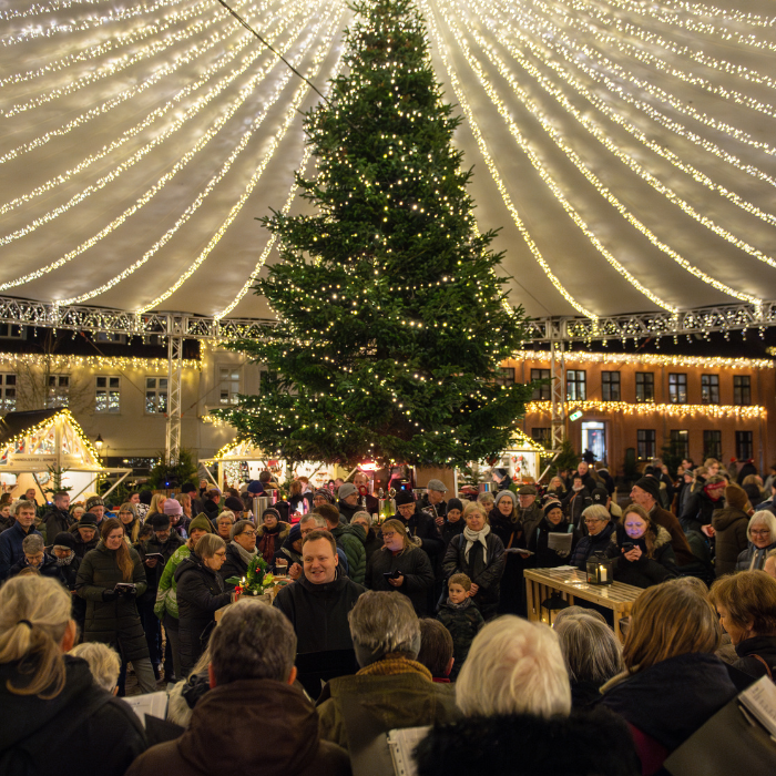Viborgs Musikalske Julekalender Viborgs Musikalske Julekalender